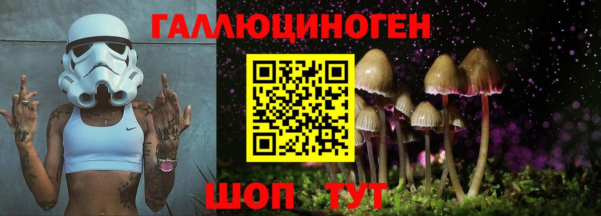 Галлюциногенные грибы Cubensis Лабинск
